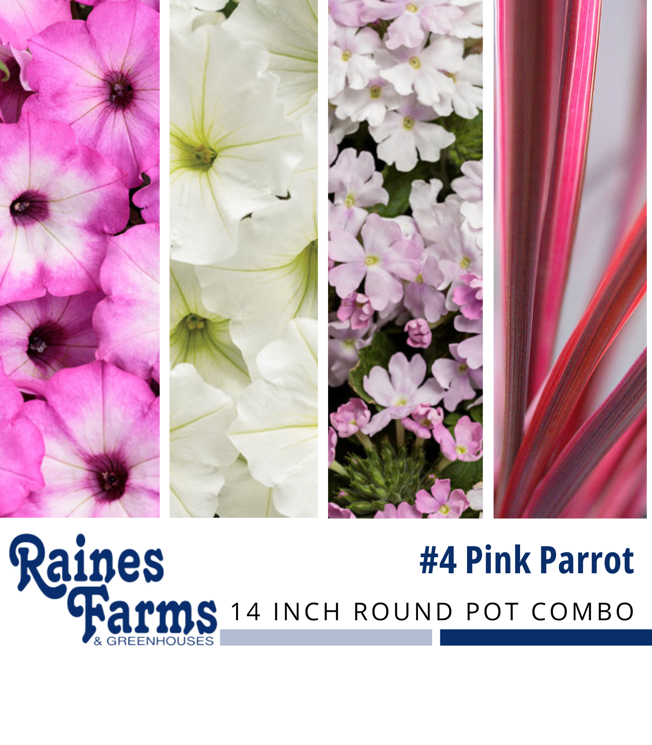 #4: Pink Parrot 14 Inch Round Pot Combo